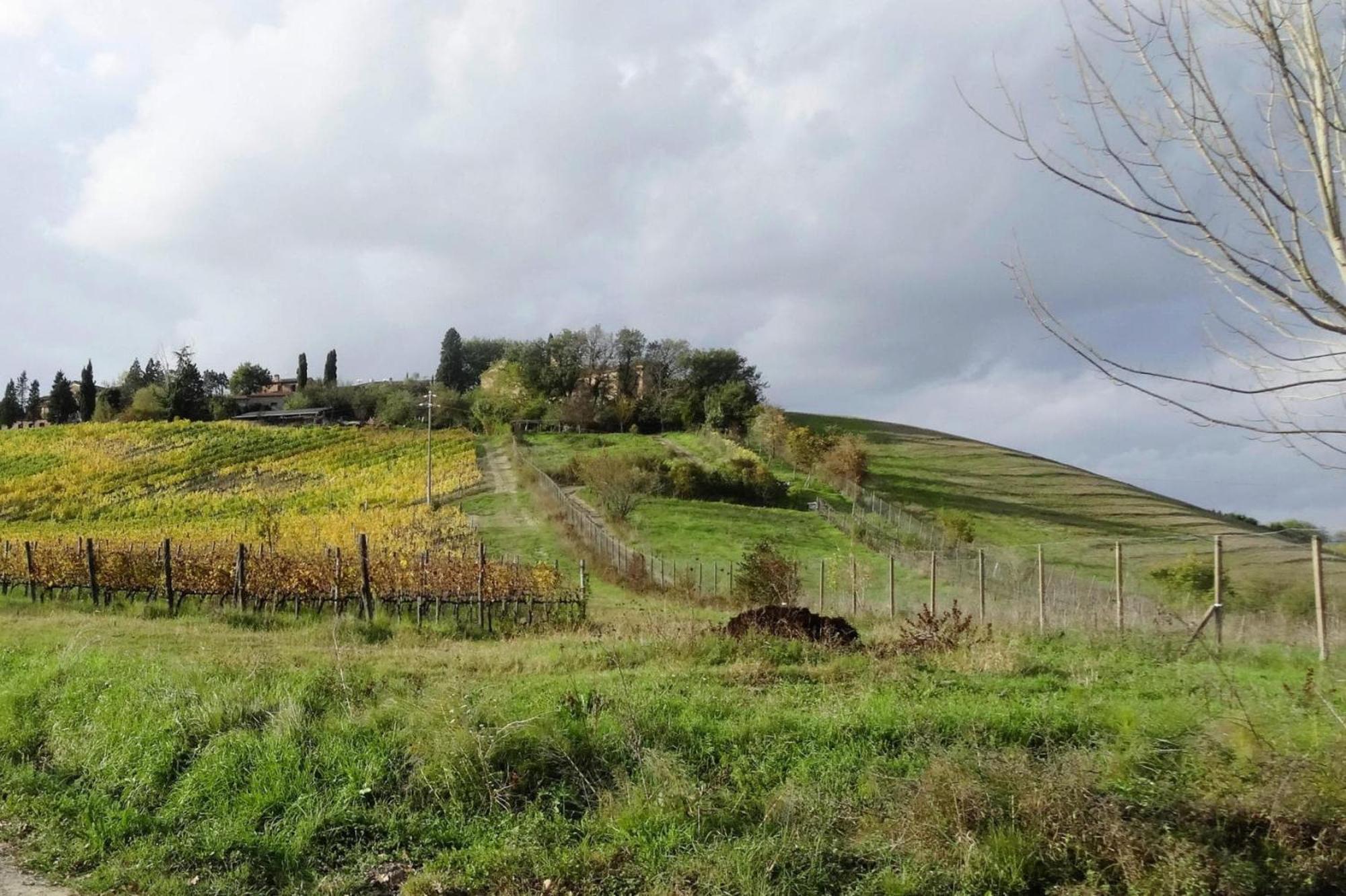 Апартаменты Fattoria Bio Pieve A Salti Монтальчино Экстерьер фото